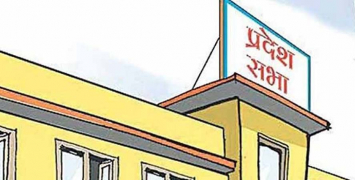 अब प्रदेश सांसदलाई पनि मालामाल