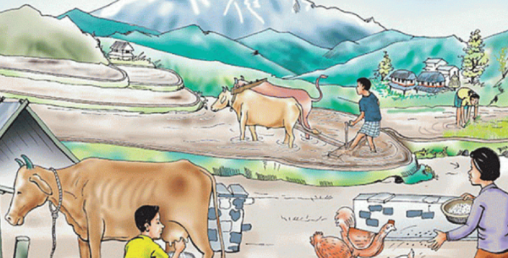 युवालाई स्वरोजगार बनाउन नगरपालिकाले दियाे बिनाधितो ऋण