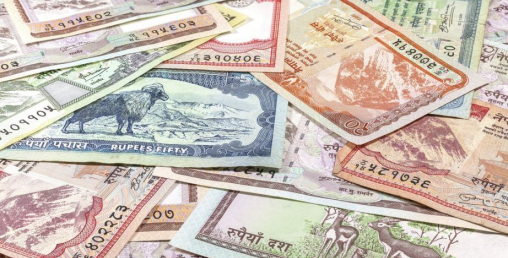 जाँगर र सीप हुनेलाई पैसा कमाउन सजीलो छ