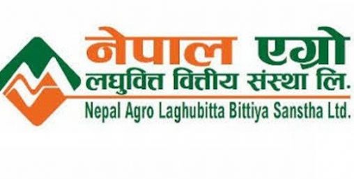 नेपाल एग्रो लघुवित्तको लाभांश परिमार्जन