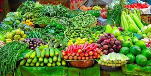 सत् प्रतिशत अर्गानिक तरकारी बजारमा, बिचौलिया नभई सिधै उपभोक्तामा