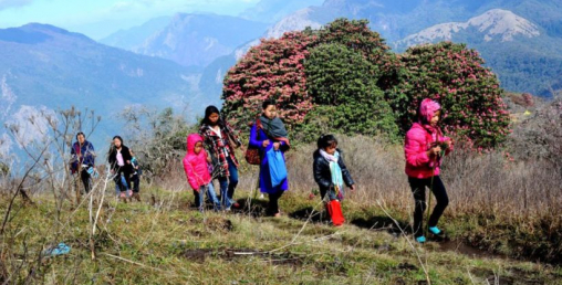 अत्यावश्यक परेकालाई मात्र गाउँ फर्काइँदै