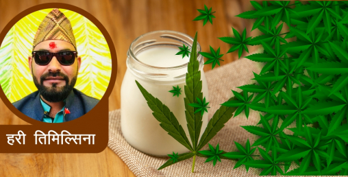 गाँजाको उपयोगिता र यसबाट अर्थतन्त्रमा पर्ने प्रभाव