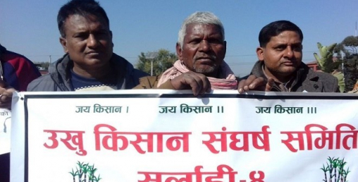 उखु किसानको पैसा नदिने व्यापारीलाई पक्राउ गर्न निर्देशन