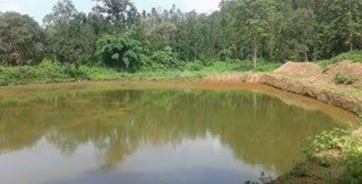 ज्यानमारा पोखरी, डुबेर १५७ जनाको मृत्यु