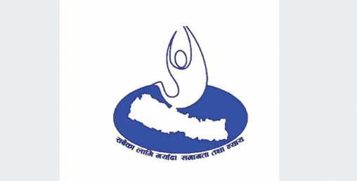 मानव अधिकार अनुगमनमा चार तहको संयन्त्र