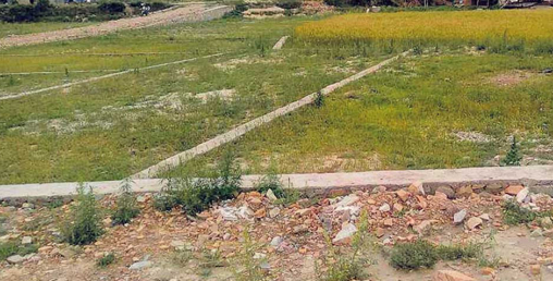 मन्दिरको ५ बिघा जग्गा व्यक्तिका नाममा