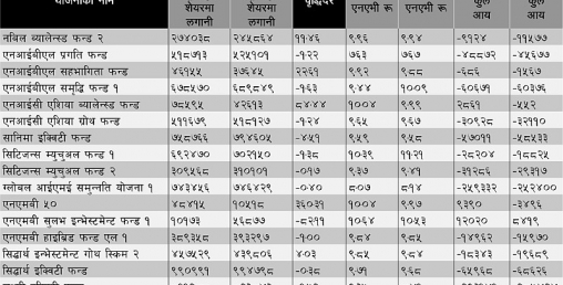 धितोपत्रमा लगानी घटाउँदै म्युचुअल फन्ड