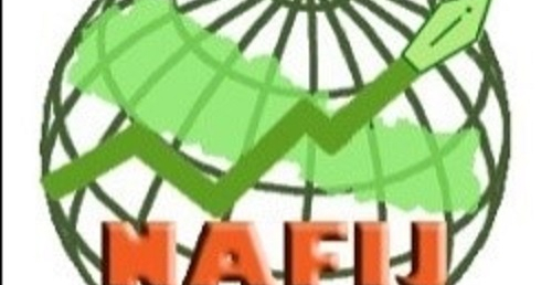 मिडिया काउन्सिल विधेयकको नाफिजद्धारा विरोध