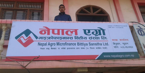 नेपाल एग्रो लघुवित्तको आईपीओमा पहिलो दिन ७ गुणा बढी आवेदन