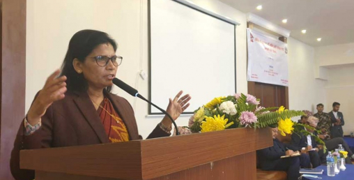 ‘ठूल्ठूला मुन्द्रा लाउनेसँग नडराउनु, गैंडासँग नलोभिनु' मन्त्री अर्याल