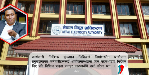 विद्युत प्राधिकरणमा बेथितिको चाङ, कुलमानको आदेशलाई खुवाइँदै छ लोप्पा