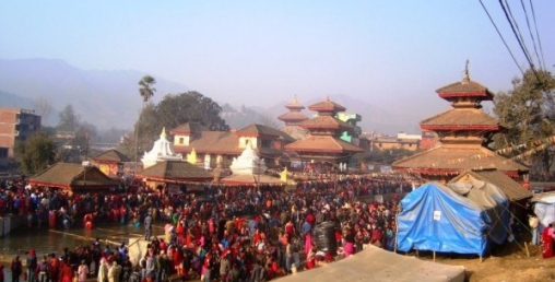 यौनिकता दर्शाउने पनौती जात्रा, पनौतीमा सार्वजनिक बिदा
