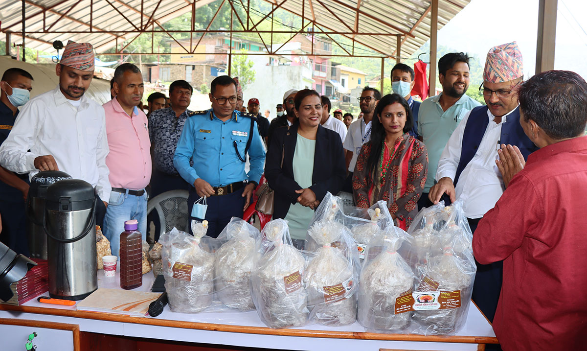 रातो च्याउको व्यवसायिक उत्पादन तथा विक्री वितरण शुरू