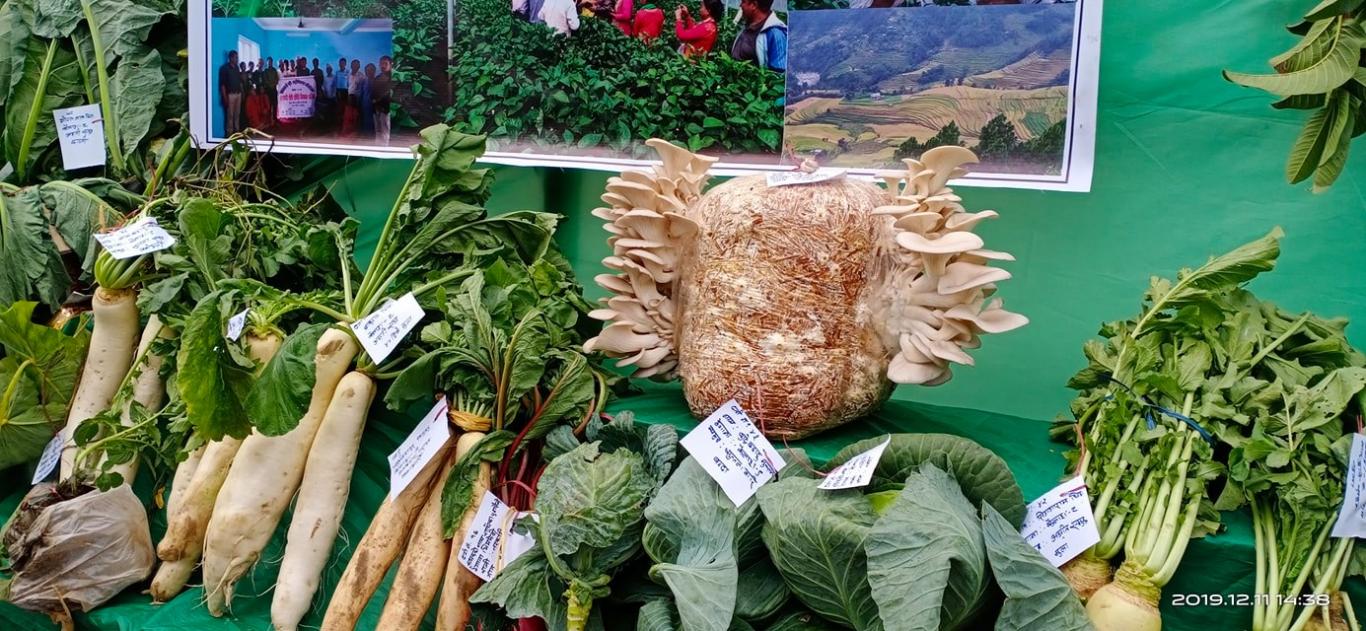 रुकुमपूर्वको कृषि प्रदर्शनी मेलामा उत्कृष्ट कृषक पुरस्कृत