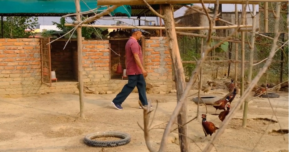 काबेरी एग्रो फार्मले सञ्चालन गर्यो ३५ लाख लगानीको कालिज फार्म