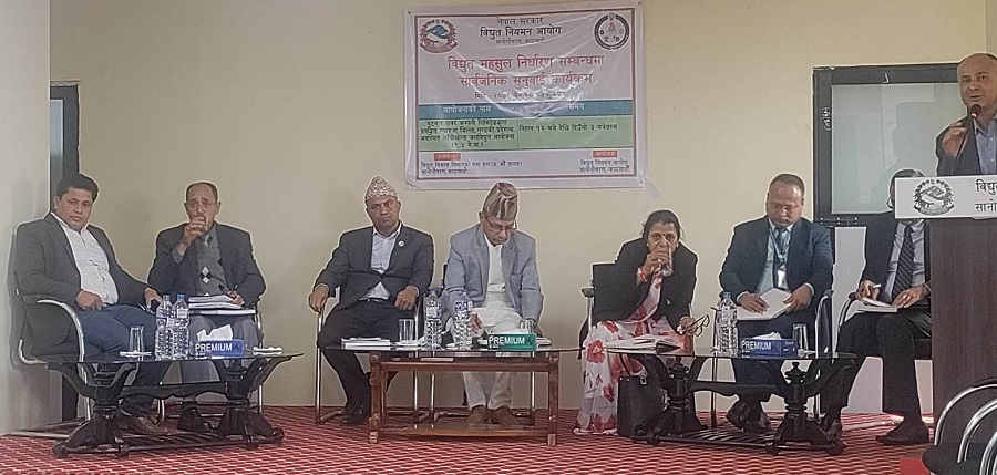 दिल्ली बहादुरको बलमिच्याईले पर्दैछन् उपभोक्ताहरू महँगो विद्युतको मारमा