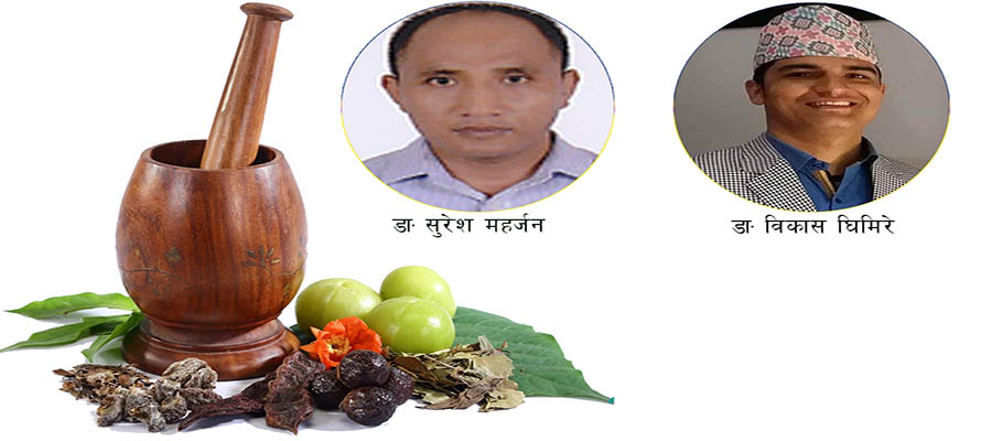 आयुर्वेदिक चिकित्सकको गुनासो-'कोरोना निको पार्यौं भन्नेले भ्रम छरे'