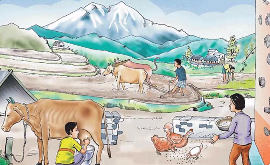 बैंकको जागिर छाडेर व्यावसायिक कृषिमा