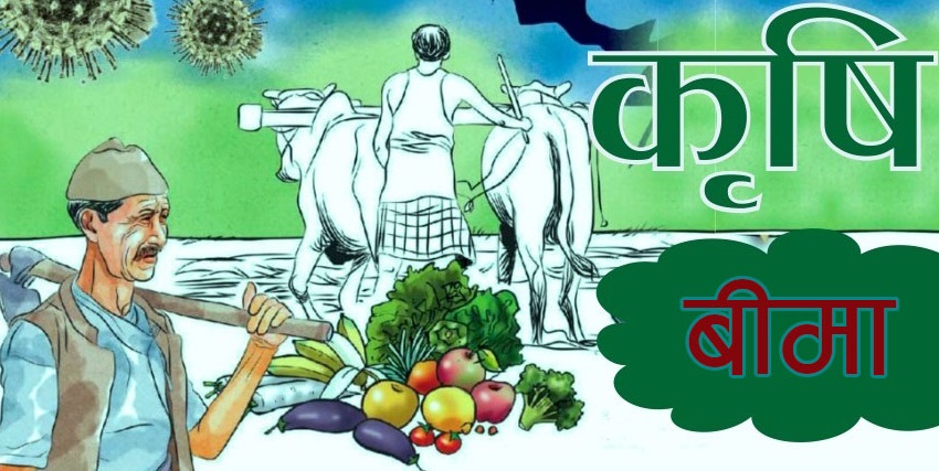 कृषि तथा पशुपन्छी बीमाबाट एक अर्ब ८१ करोड बीमाशुल्क संकलन