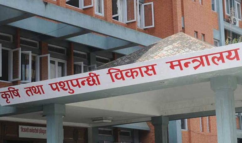 कोरोना सर्ने हल्लामा कृषि उपजको बिक्री र ढुवानी नरोक्न निर्देशन