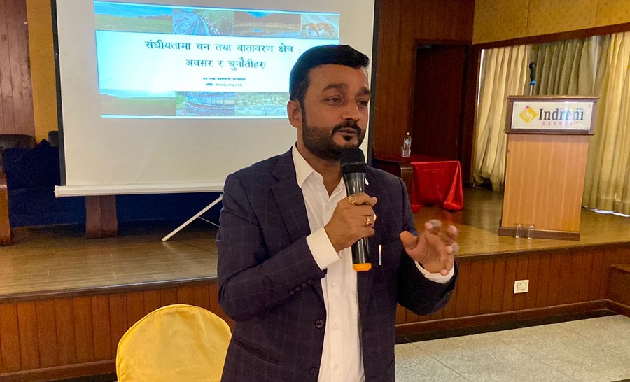 विदेशी काठ आयातलाई प्रतिस्थापन गर्छौंः मन्त्री यादव