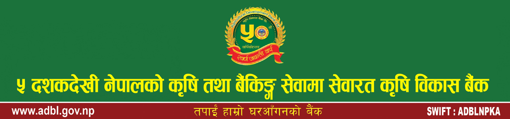 तारा एयरका यात्रु सबै सकुसल