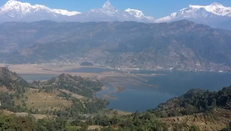 स्वरोजगार बन्न चाहनेहरुलाई बतास एग्रोको गोल्डन अफर