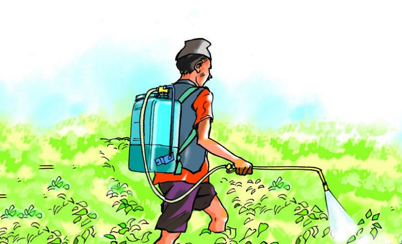 कृषकमा उत्साह थप्दै ‘स्मार्ट कृषि गाउँ’ कार्यक्रम