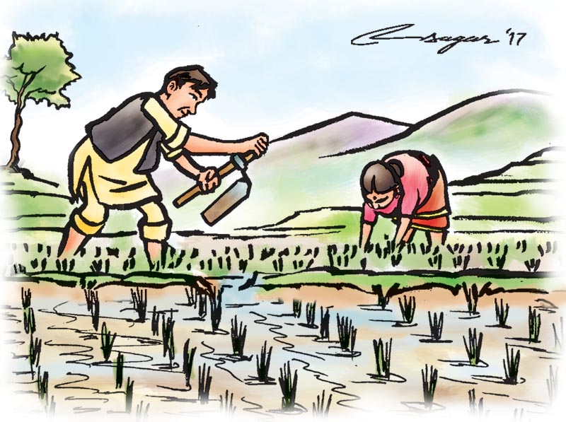 दर्जन बढी अध्ययनका फाइल दराजमा थन्किए