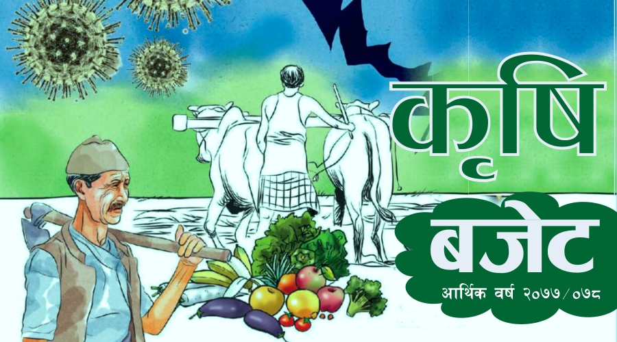 ३ सय स्थानीय तहमा भूमी बैंक