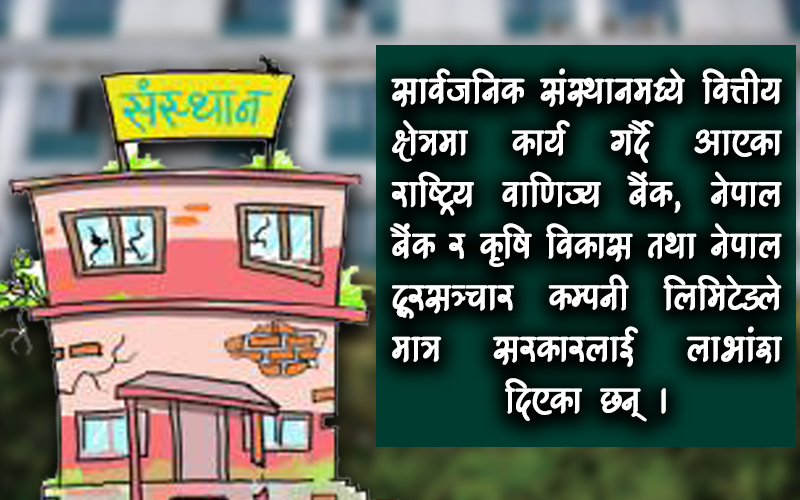अब प्राधिकरण मोडेलमा सार्वजनिक संस्थान, मस्यौदा तयार पार्दै अर्थ