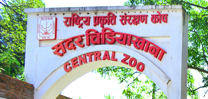 चिडियाखानाको आम्दानी बढ्यो, ७ लाख नेपालीले घुमे याे वर्ष