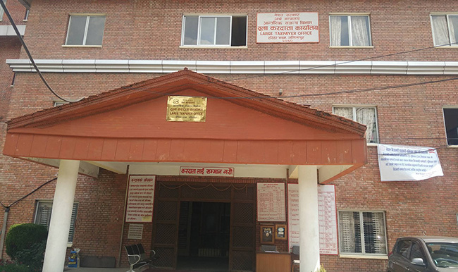 २१ करदाताले तिर्छन् करको आधा हिस्सा
