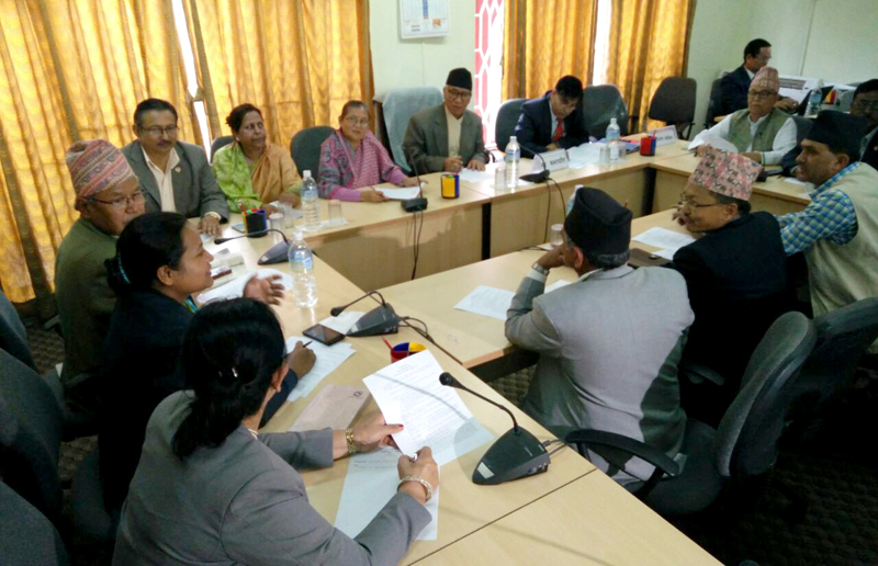 मिनी संसद्का निर्देशन अलपत्र, किन वेवास्था गर्छन् संसदीय निर्देशन ?