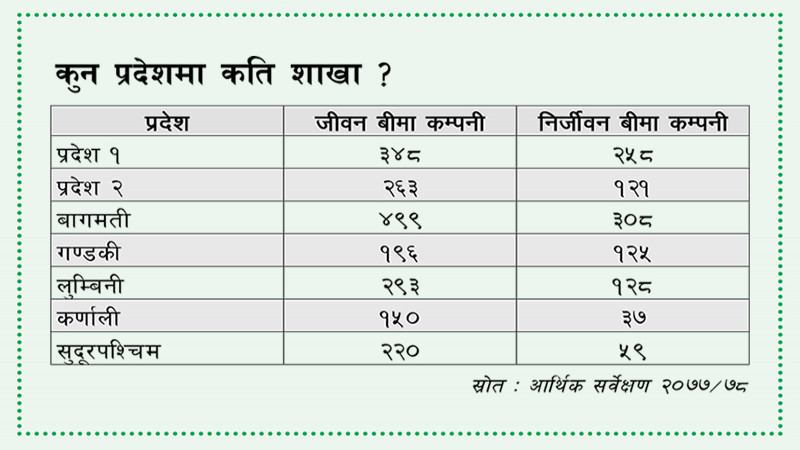 बीमा कम्पनीहरु पनि शहर केन्द्रीत मात्रै व्यवसाय गर्दै