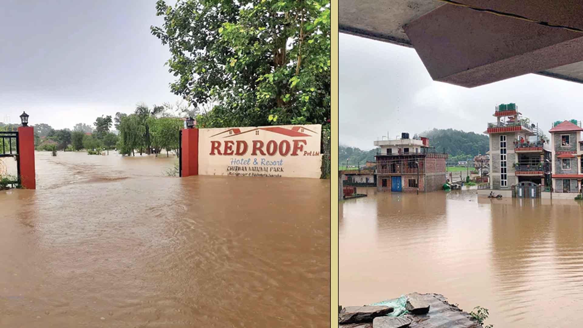 बाढी पहिरोको देशव्यापी प्रभाव, ३० वटा होटल समेत डुबे
