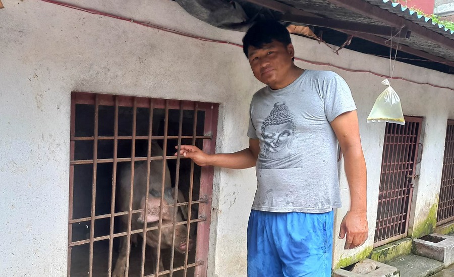 बङ्गुरपालनमा रमाउँदै वडाध्यक्ष सिंजाली
