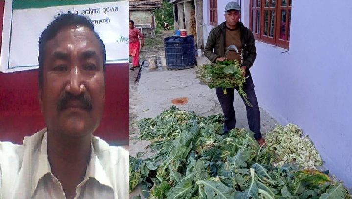 भक्तपुरकै काउली र बन्दा बिकेन, बोटमै काउली कालो भयो