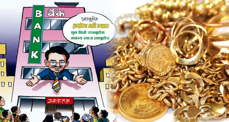 सुन निक्षेप योजनाले कन्तुरमा लुकेको सुन बैंकमा आउला त ?