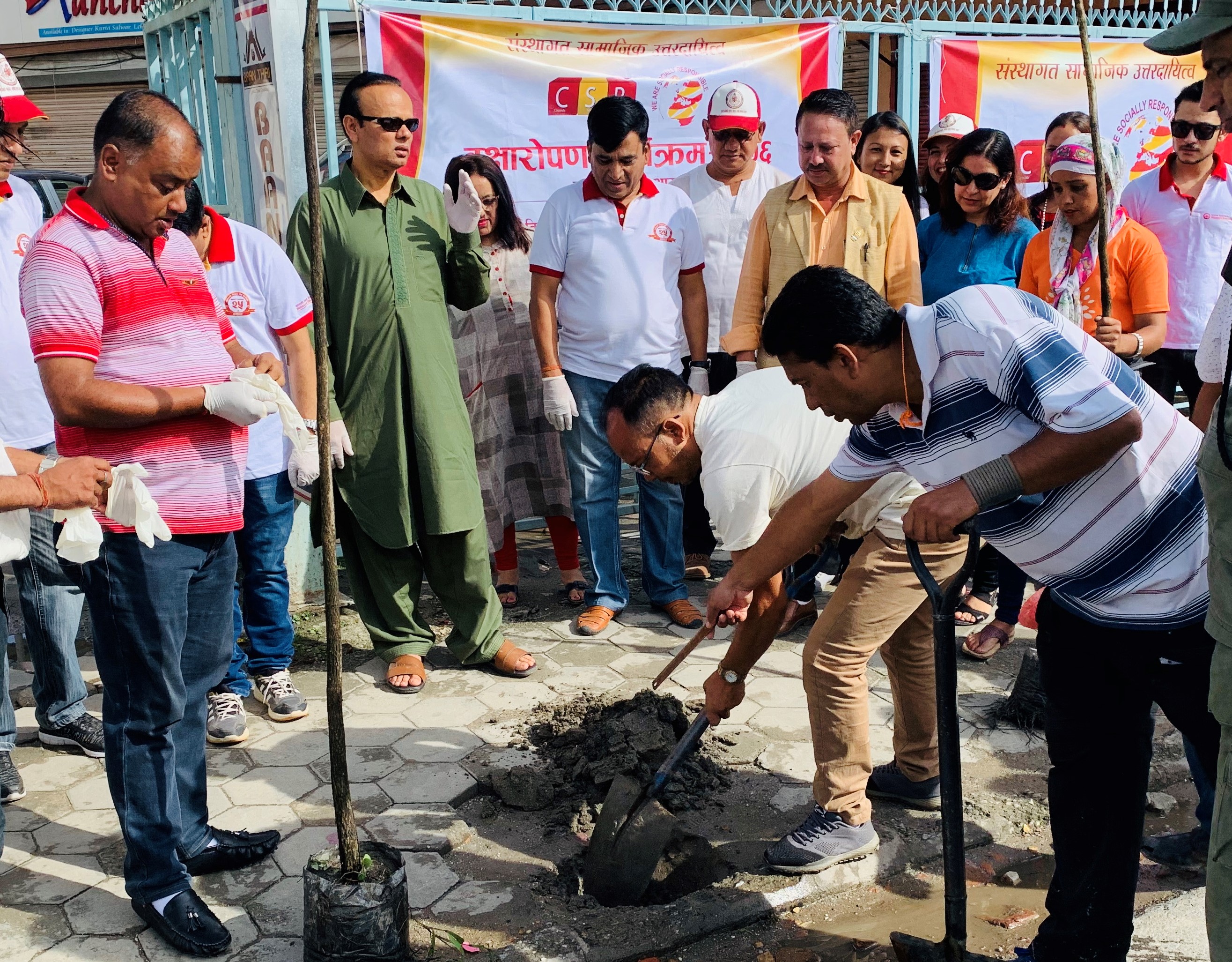 महालक्ष्मी विकास बैंकद्वारा वृक्षारोपण कार्यक्रम