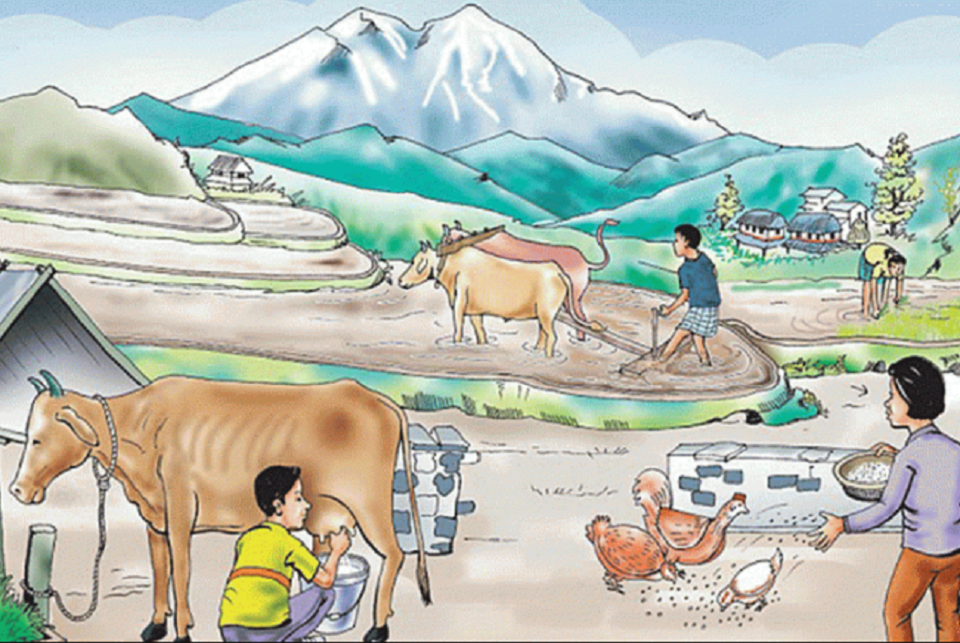 युवालाई स्वरोजगार बनाउन नगरपालिकाले दियाे बिनाधितो ऋण
