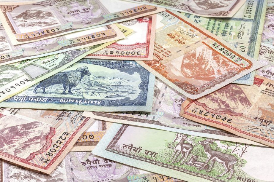 जाँगर र सीप हुनेलाई पैसा कमाउन सजीलो छ