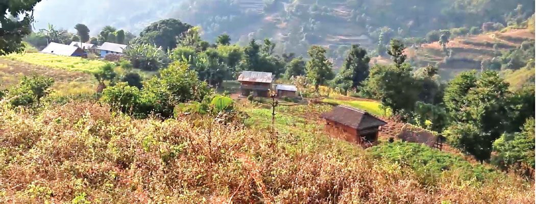 वन्यजन्तुको डरले सुनसान बन्यो बस्ती, मानिसको लाग्यो उठिबास