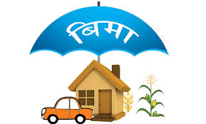 सम्पत्ति बीमा गर्ने घटेपनि संकलित बीमाशुल्कमा ७३१ प्रतिशतको वृद्धि