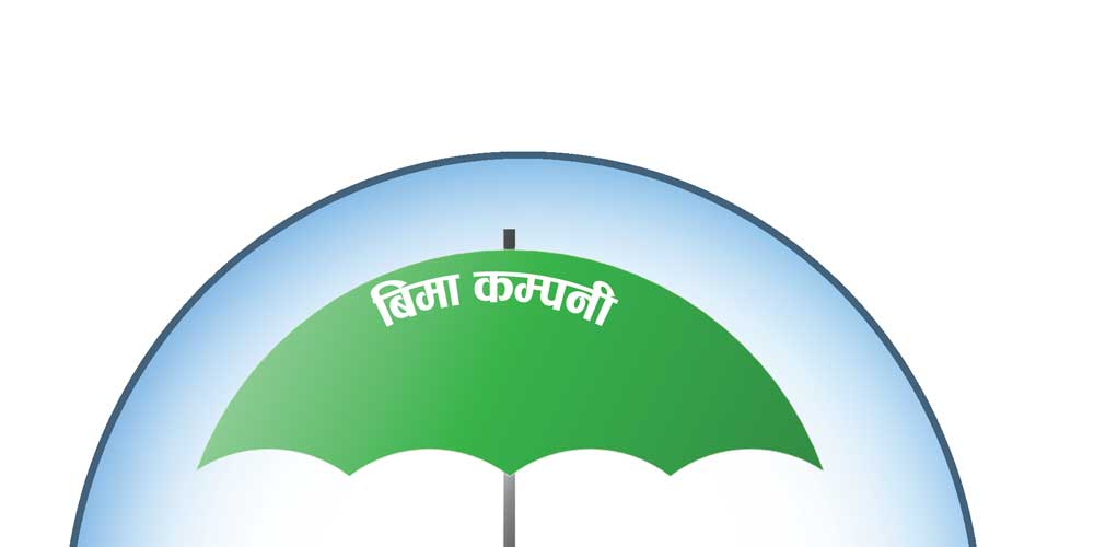 १० नयाँ जीवन बीमा कम्पनीको नाफा साढे ९४ करोडभन्दा बढी, कसले कति कमाए ?
