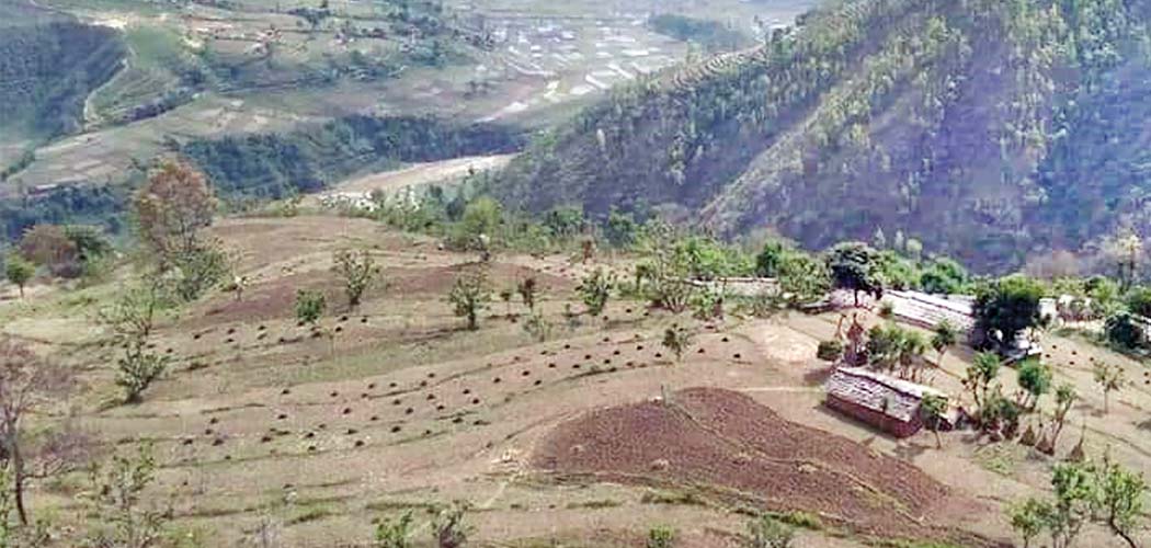 नक्सा फेरियो तर फेरिएन दुःख