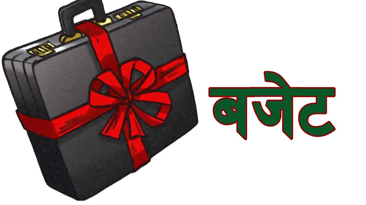 नीति र बजेट, प्रवृत्ति र प्रगति