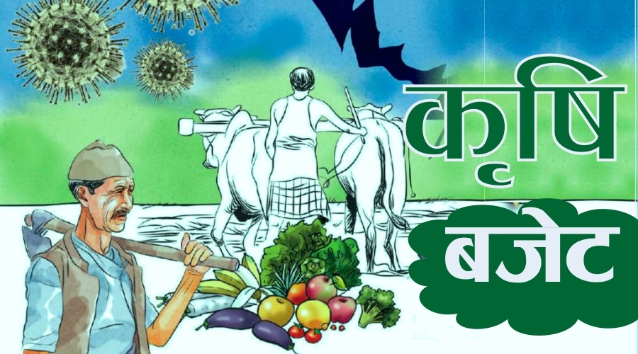 कर्णालीका भेडापालक कृषकलाई ६८ लाख ‘हेरालो भत्ता’