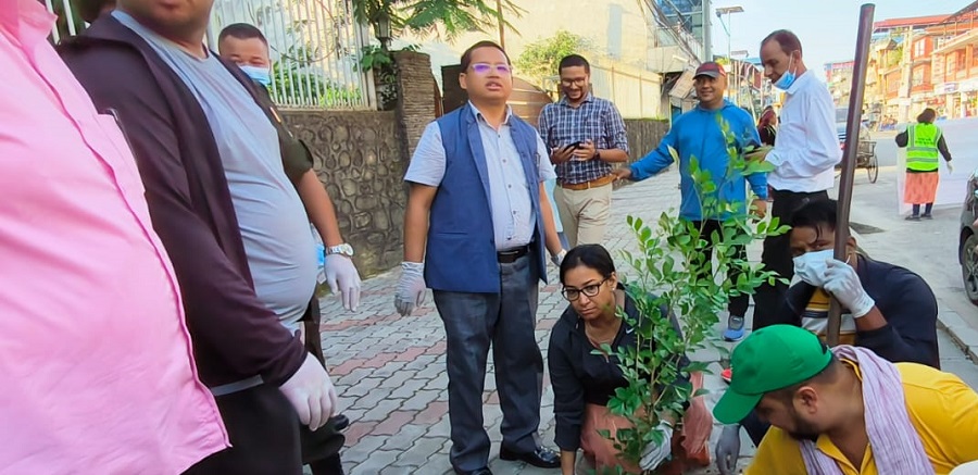 भरतपुरमा हरियाली प्रवर्द्धनका लागि पाँच करोड बजेट